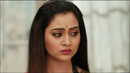 Pandya Store - 3rd December 2023